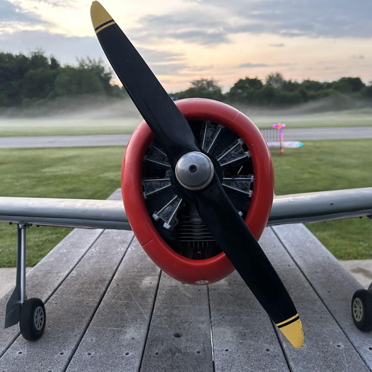 Wings for Kids RC Air Show